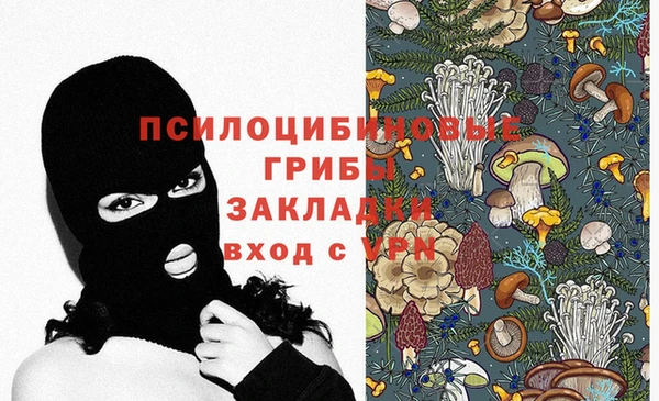 2c-b Алексеевка