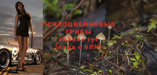 2c-b Алексеевка